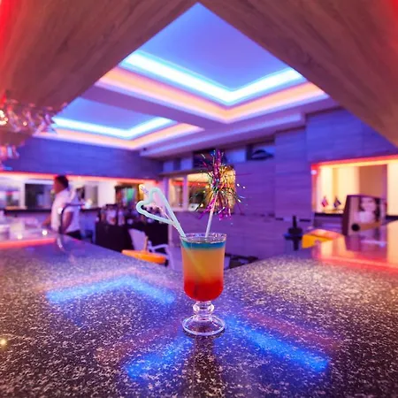 Catty Cats Garden シダ