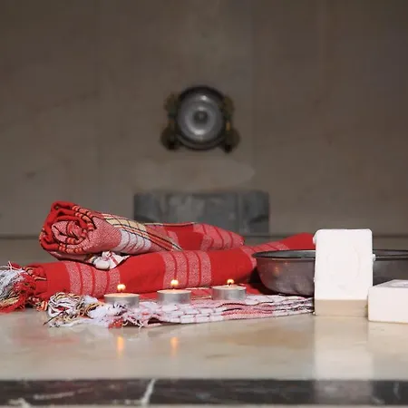 Catty Cats Garden Side