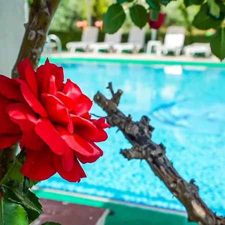 Aparthotel Catty Cats Garden 3*